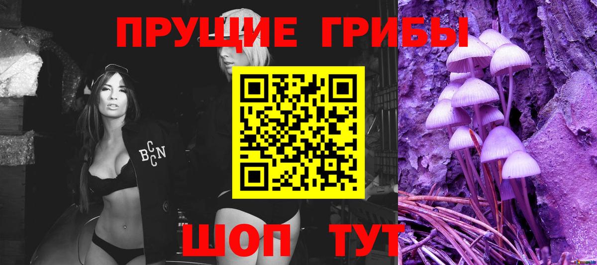 Галлюциногенные грибы Psilocybe Нижнекамск